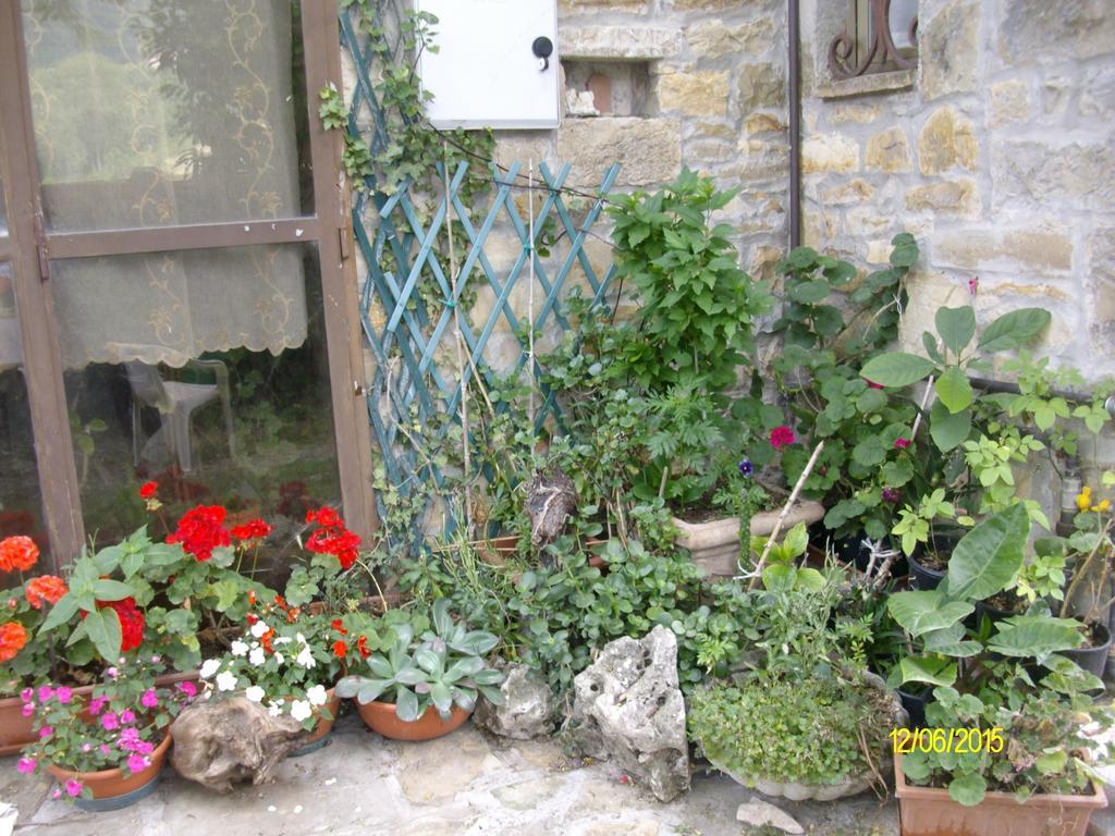 B&B San Nicola Serramazzoni Exteriér fotografie