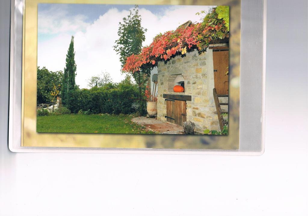 B&B San Nicola Serramazzoni Exteriér fotografie