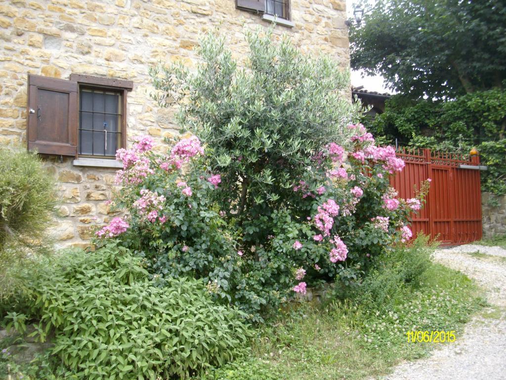 B&B San Nicola Serramazzoni Exteriér fotografie