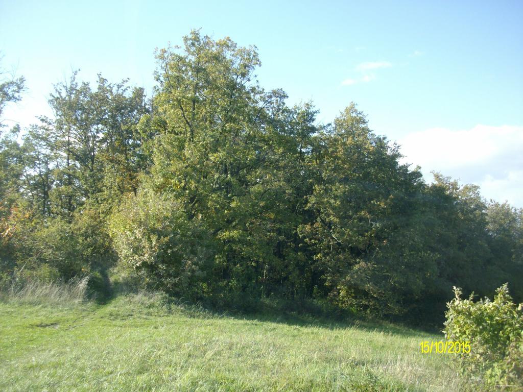 B&B San Nicola Serramazzoni Exteriér fotografie
