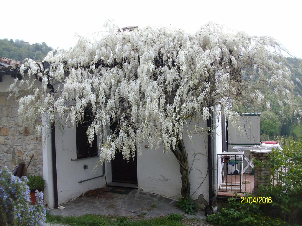 B&B San Nicola Serramazzoni Exteriér fotografie